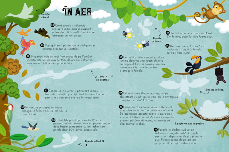 100 de curiozități despre natură. (autocolante)